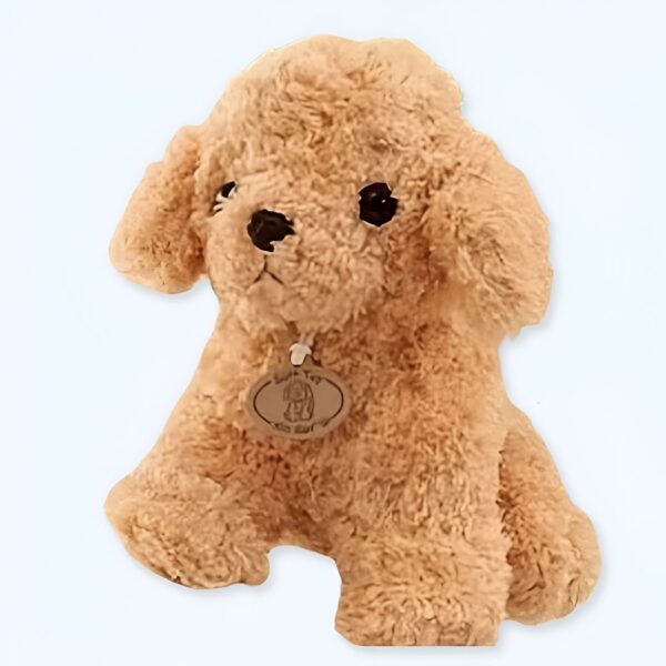 peluche-caniche-beige-1a Peluche de chien caniche assis avec une étiquette autour du cou.