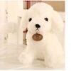 Un adorable chiot en peluche blanc assis sur une chaise. Le chiot a de grands yeux noirs, un nez noir et une fourrure moelleuse. Il porte un badge en cuir qui dit "Soft Toy".