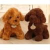 Deux chiens en peluche, un brun et un beige, assis sur un fond en bois. Les deux chiens ont des étiquettes autour du cou.