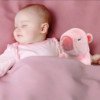 Un bébé dort paisiblement dans un lit rose avec un ours en peluche rose.