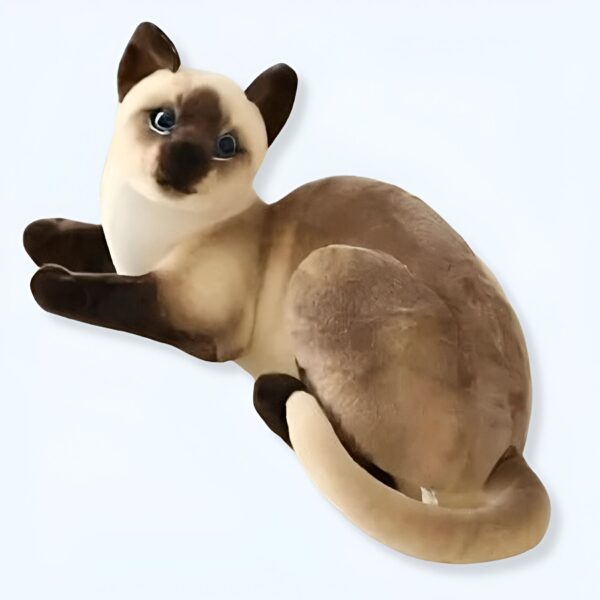 Un chat siamois en peluche couché sur le dos, regardant la caméra.