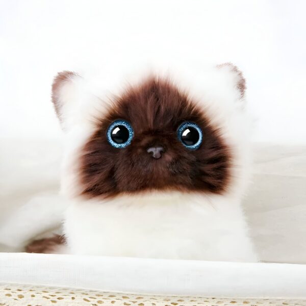 Un chaton siamois blanc et brun avec de grands yeux bleus regardant la caméra. Il est assis dans une corbeille en osier.