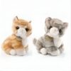 peluche-chaton-tout-doux-5a-2 Deux adorables peluches de chats, un chat orange et blanc et un chat gris et blanc, posés sur un fond blanc.