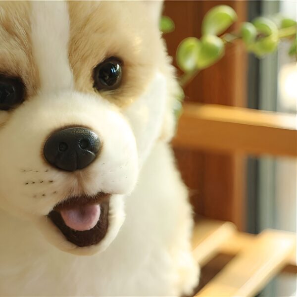 Gros plan sur la tête d'un chien en peluche blanc et roux, il sourit avec la langue dehors.