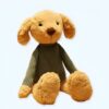 Un adorable chien en peluche brun portant un pull vert.