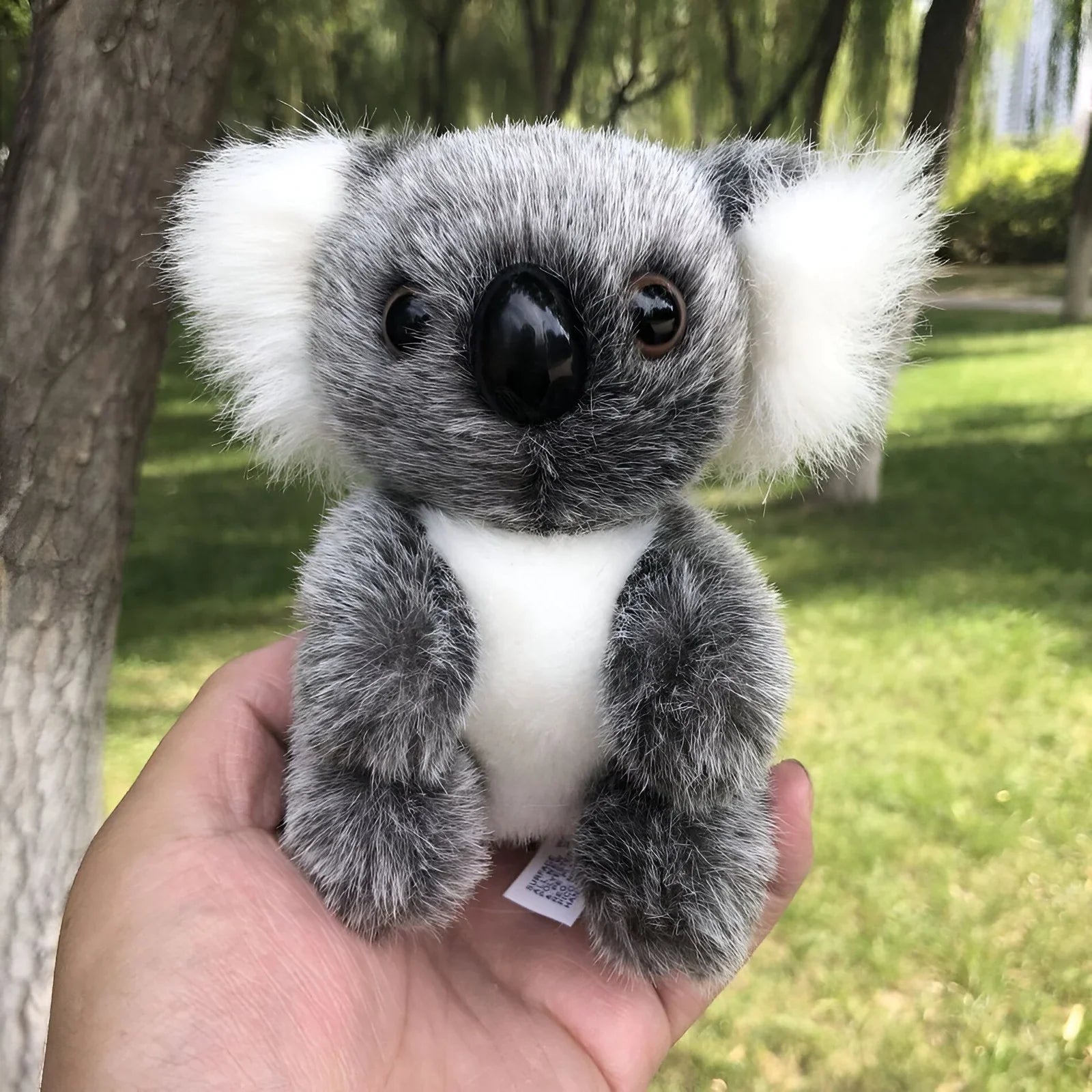 Peluche Koala