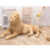 Un grand lion en peluche beige allongé sur un tapis en fourrure. Il est dans une pièce avec un panier en osier, une étagère avec des paniers en tissu et un vase en osier.