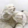Les pattes d'un ours en peluche blanc.