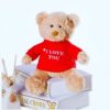 Un ours en peluche brun portant un t-shirt rouge avec l'inscription "I Love You".