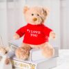 Un ours en peluche brun assis sur deux livres, portant un chandail rouge avec l'inscription "Je t'aime" en blanc.