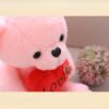 Un ours en peluche rose tenant un cœur rouge avec le mot "Love" écrit dessus.