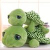 Deux tortues en peluche vertes avec de grands yeux noirs, l'une sur l'autre.
